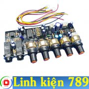 Mạch micro karaoke 12v đơn V2.1